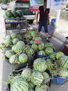 延安网红吃瓜事件,揭秘网络舆论背后的真相与反思